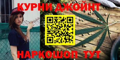 гашик Кандалакша