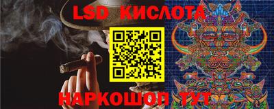 гашик Кандалакша