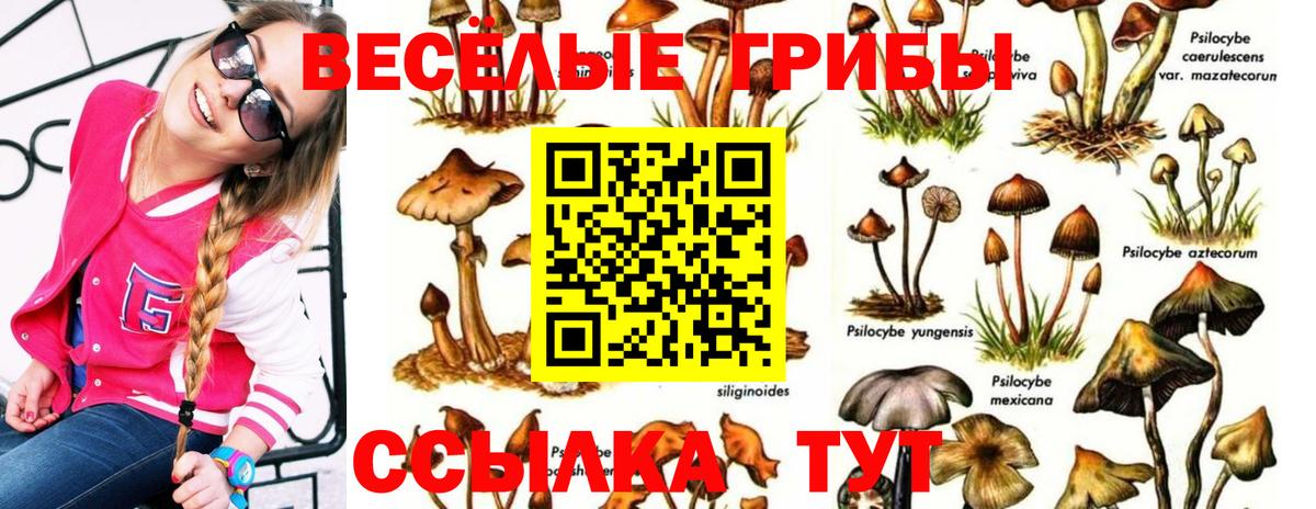 Галлюциногенные грибы Psilocybine cubensis  Вход с VPN  Кумертау  Псилоцибиновые грибы прущие грибы 